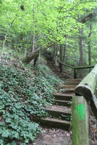 Hiking steps